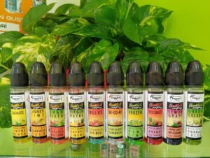 Vapurì - Lemonade - summer time - anguriata - virgin royal - bull ice - Midori - Frozen - Red sunset - lemon grape - green colada